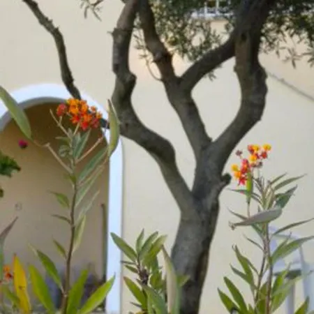 Apartmán Natalia A With Panoramic Sea Views Of Agios Gordios Bay *