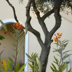 Apartmán Natalia A With Panoramic Sea Views Of Agios Gordios Bay *